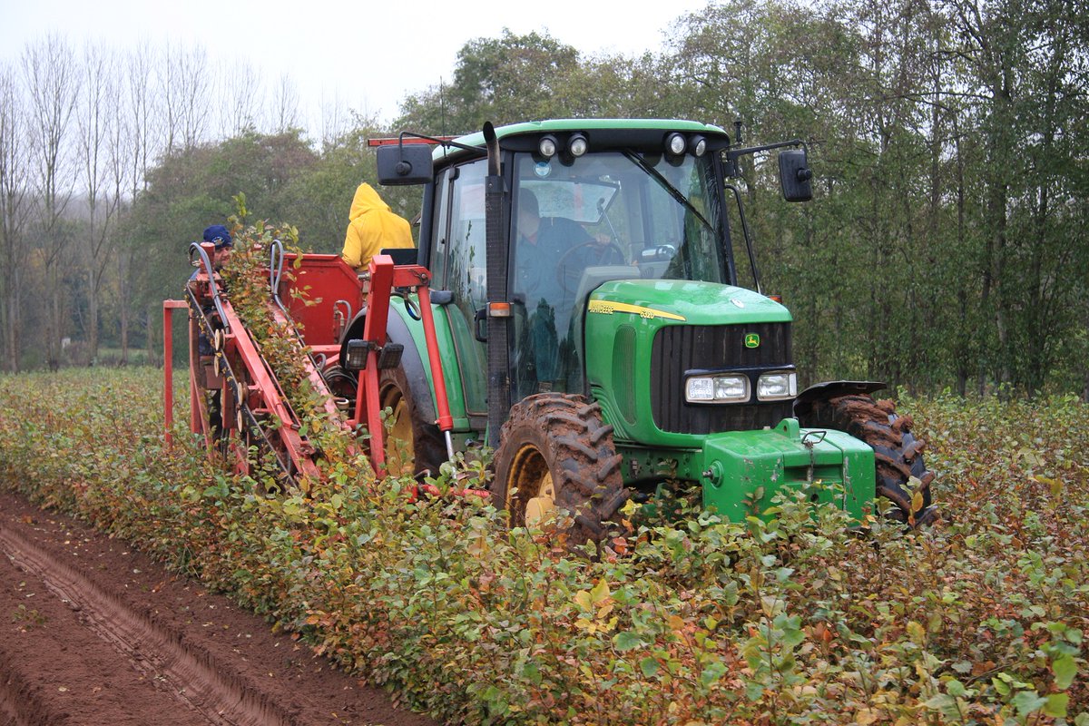 The UK #horticulture industry employs in the region of 100,000 permanent and seasonal workers every year so buying #BritishSown &amp; #BritishGrown #trees and #plants will continue to support our industry. #keepcalmandgetreadytogarden