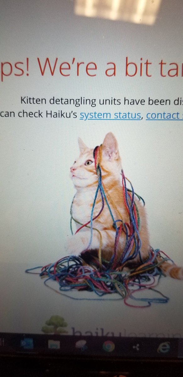 Marty Creech tweet media