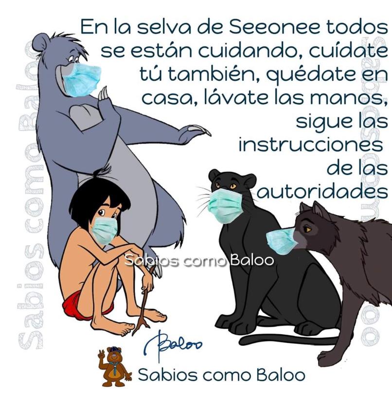 scouts219jaca's tweet photo. ¡Hay que hacer caso a Baloo! 
A seguir todos en casa que antes de que nos demos cuenta estaremos de nuevo jugando en la calle 😄 https://t.co/Bu6Gq4drYg