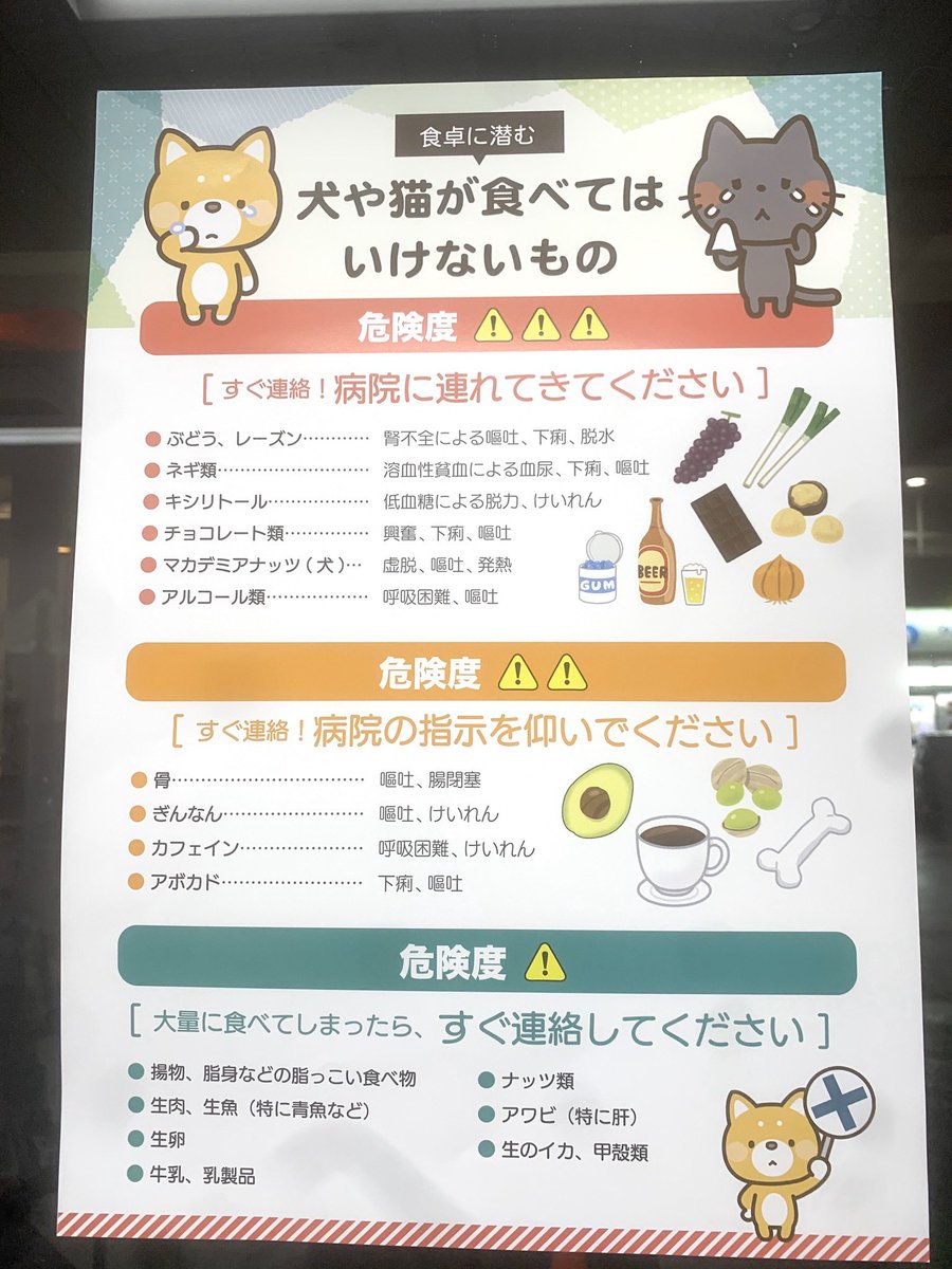 犬が食べてはいけないもの