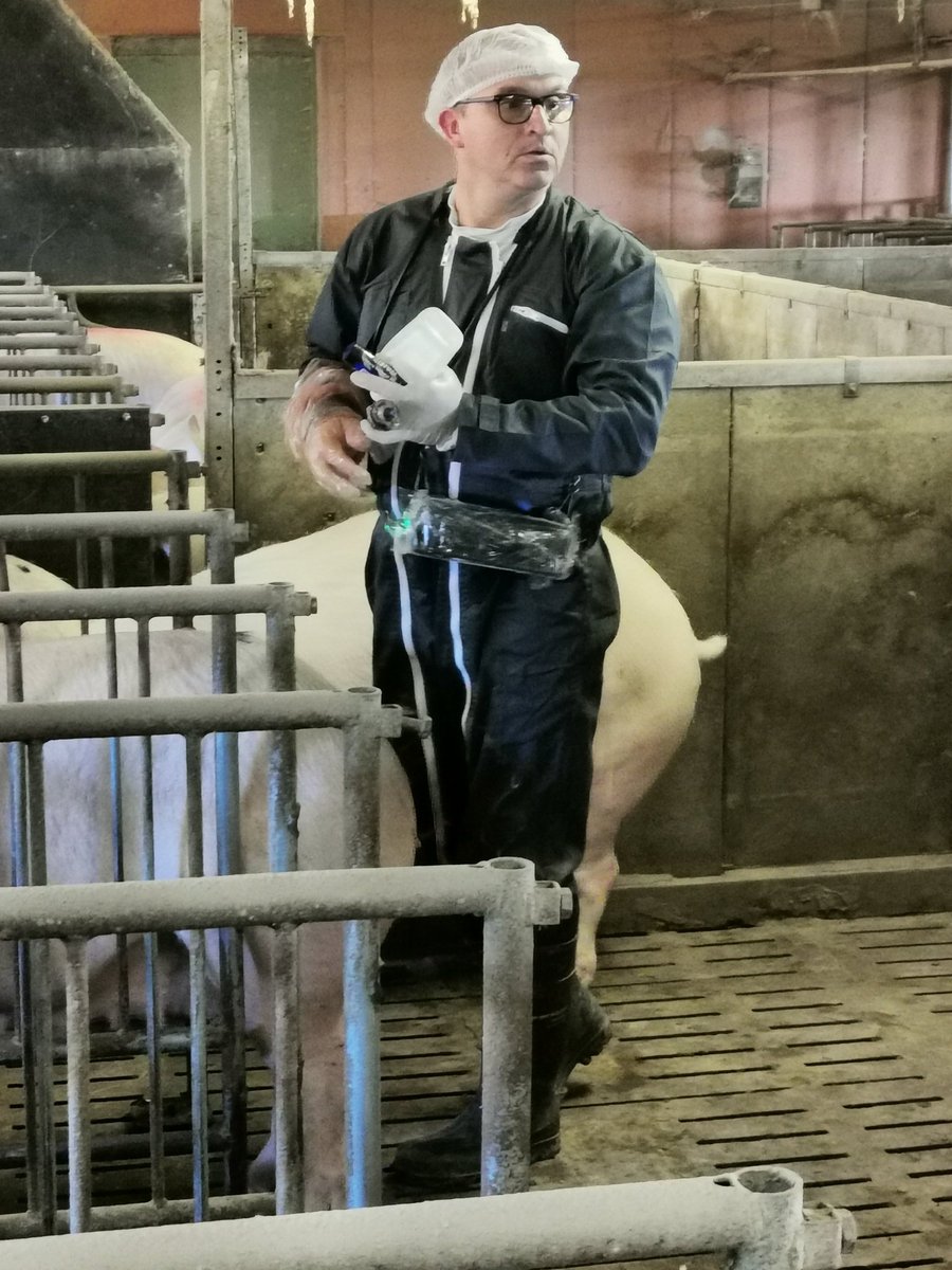 LaTriquet's tweet photo. #MonTechnicienEtMoi
Enfin je dirai plus #MesTechniciensEtMoi 😉

Vincent, Son boulot à l'élevage?
Repérer les femelles pleines, et, il donne des petits conseils!👍

Justine, elle s'occupe des futures reproductrices de notre élevage, avec aussi des petits conseils au passage! 👍 https://t.co/0YL6bUsUZv