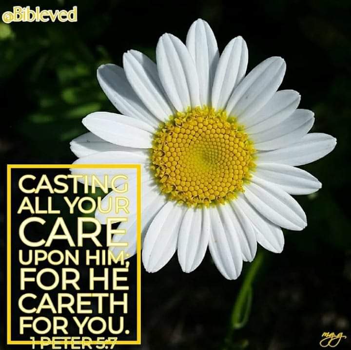 Bibleved7's tweet photo. 1 Peter 5:6-7~
"Humble yourselves therefore under the mighty hand of God, that He may exalt you in due time: [7] Casting all your care upon Him; for He cares for you."#bible #God #Jesus #Christ #photography #nature #worry #flowers #humbleyourself #underGod #castyourcares #Godcare https://t.co/BxYSToBmzH