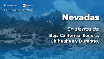 Ver imagen en Twitter