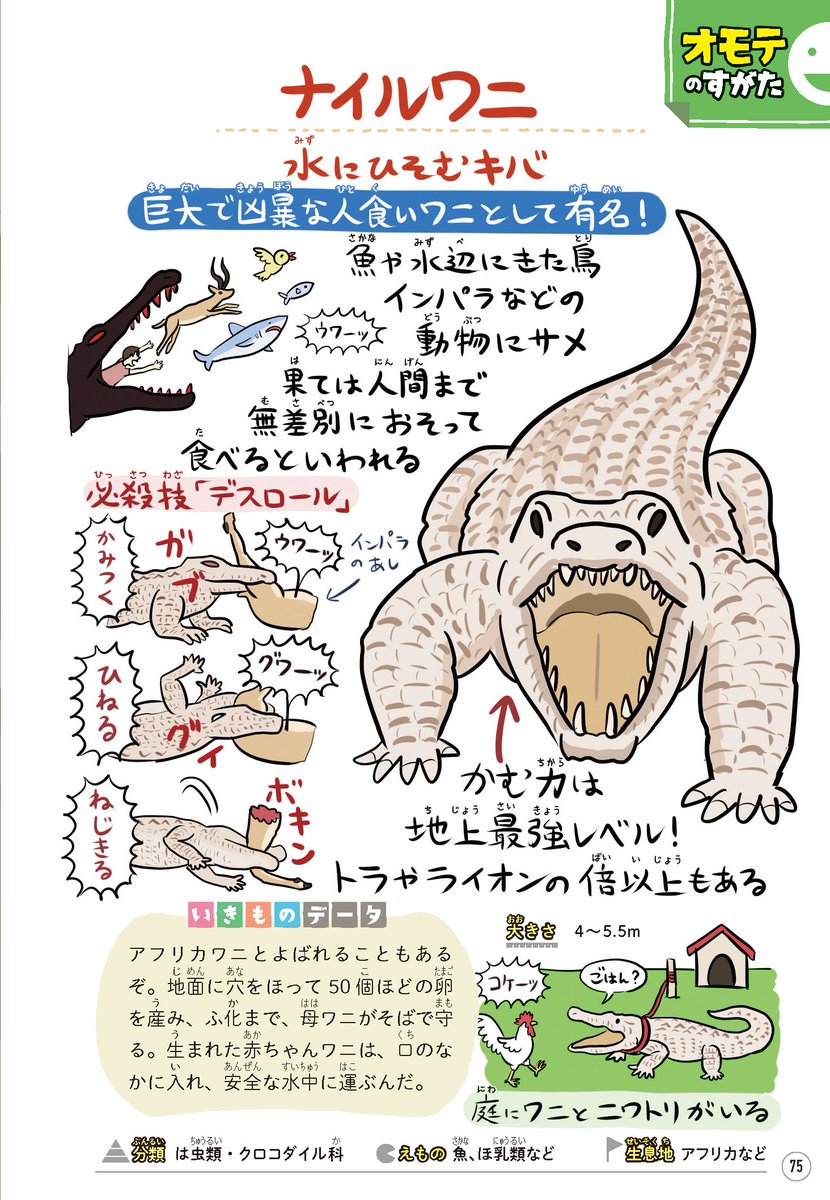 いま死とワニが熱いらしいので、必殺「デスロール」で絶対死なすワニことナイルワニの図解を上げておくか…。(『ゆかいないきもの㊙︎図鑑』より) 