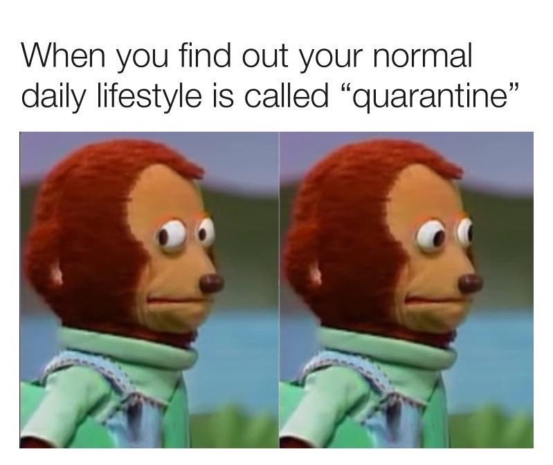 vannsl's tweet photo. 🤷‍♀️ https://t.co/fySZCC5KYi
