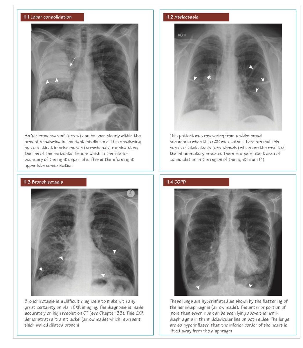 ﮼صالح،علي،أبو،شقرا tweet media
