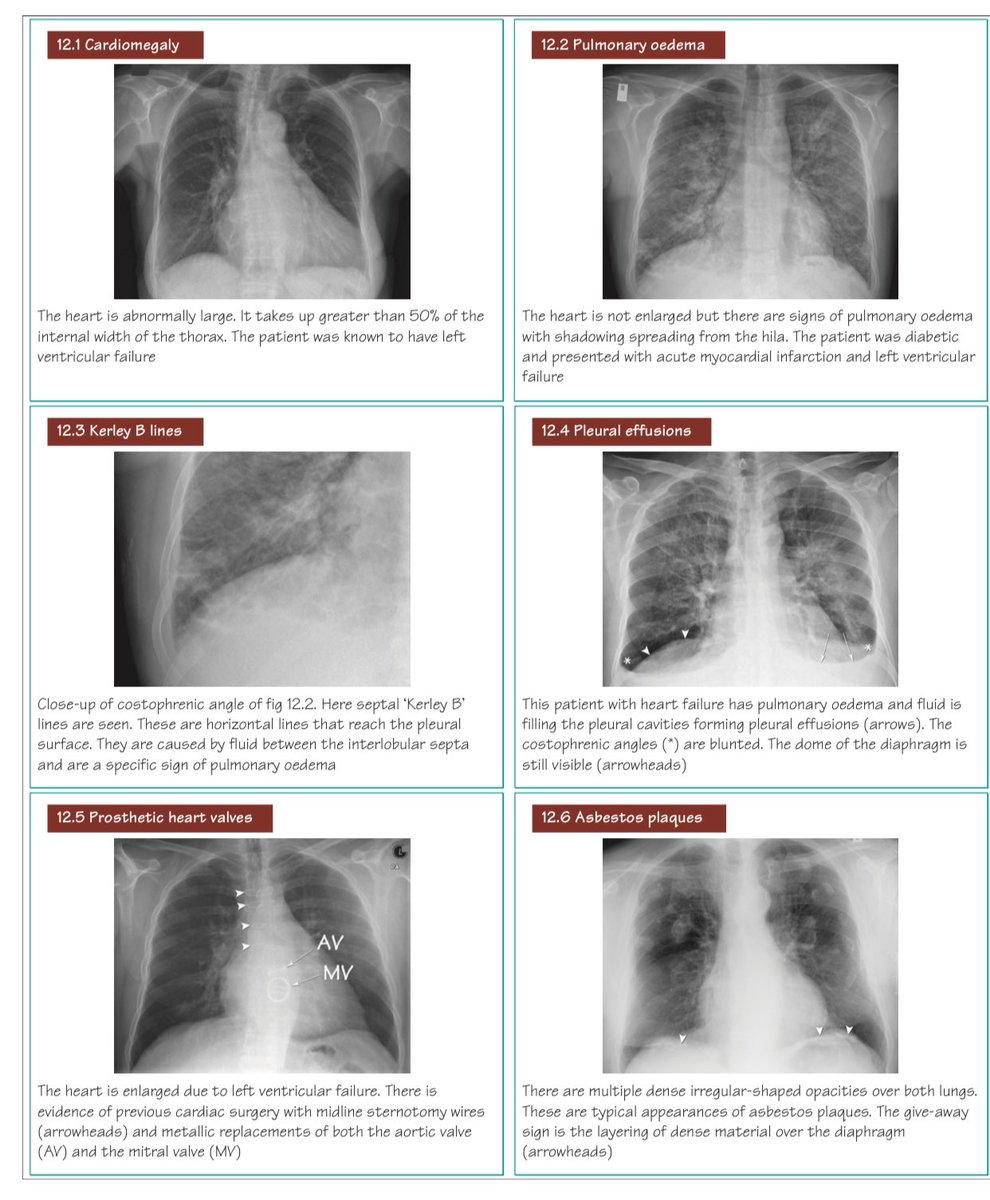 ﮼صالح،علي،أبو،شقرا tweet media