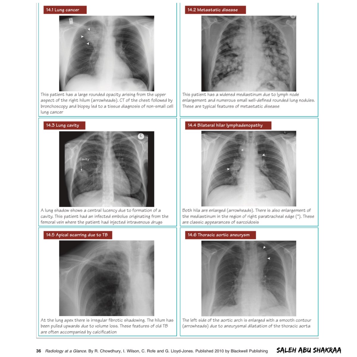 ﮼صالح،علي،أبو،شقرا tweet media