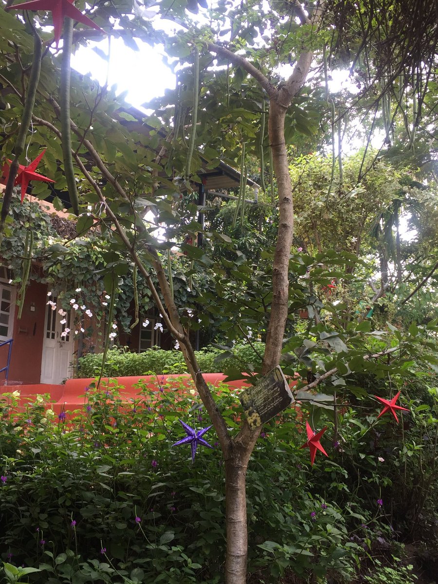 Mumbaiguru's tweet photo. If there was one place I’d choose to be #quarantined in .. i’d happily spend 2 weeks in the gorgeous natural surroundings it would be #nativeplacekamshet also home to @flynirvana 
Sadly because of #socialdistancing we are home (not bad 🤞🏼)
#homestay #lakeside #waitingtovisit https://t.co/2rgUaRnBZH