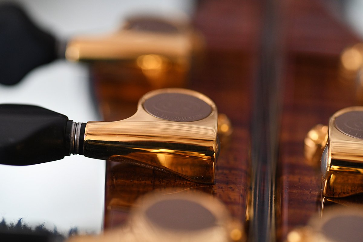 The Acoustic Music Company tweet media