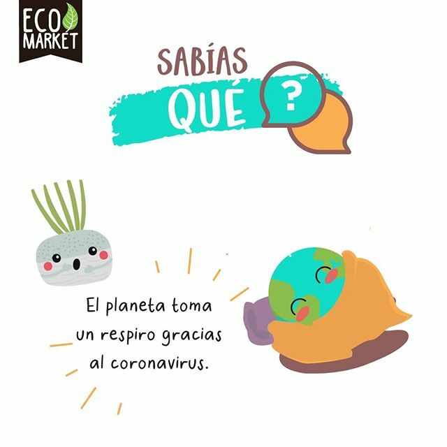 Feria EcoMarket tweet media
