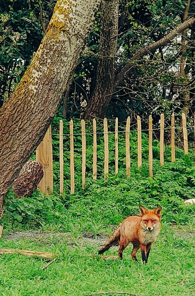 Gary Pe🐦 tweet media