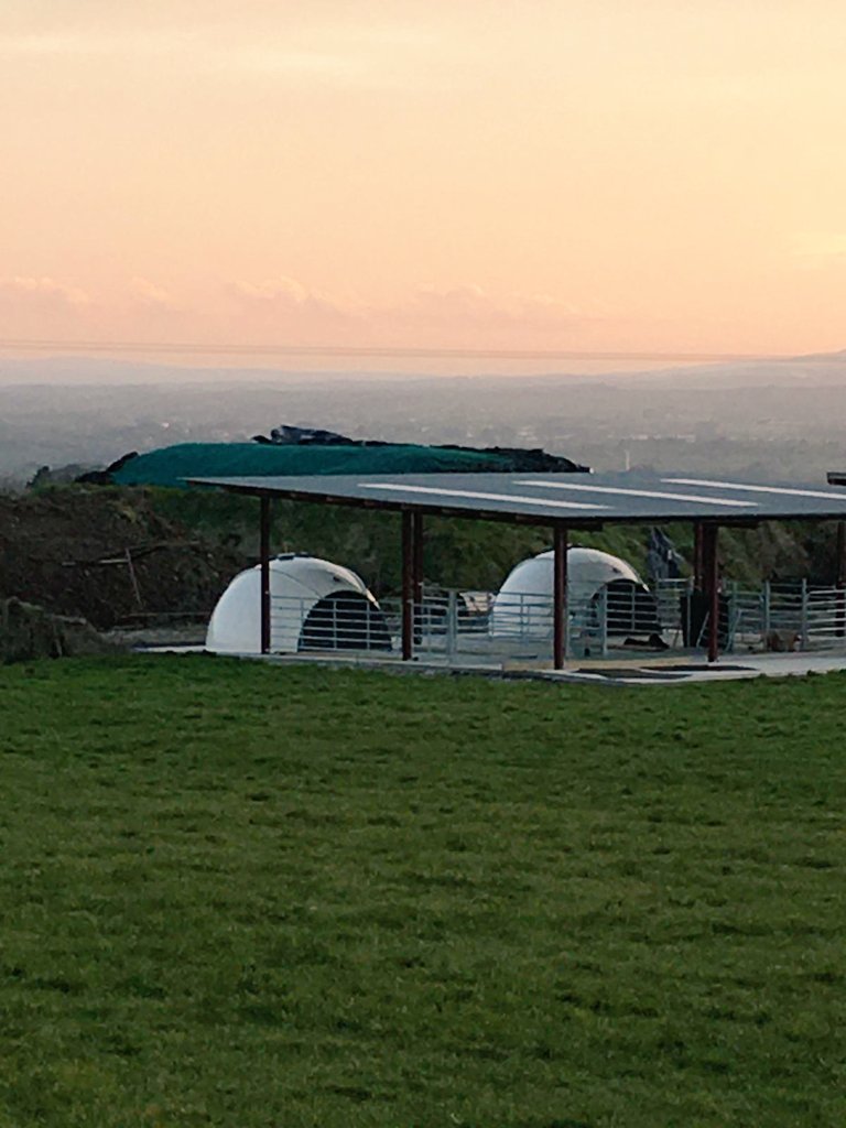 Gorteade cow care tweet media