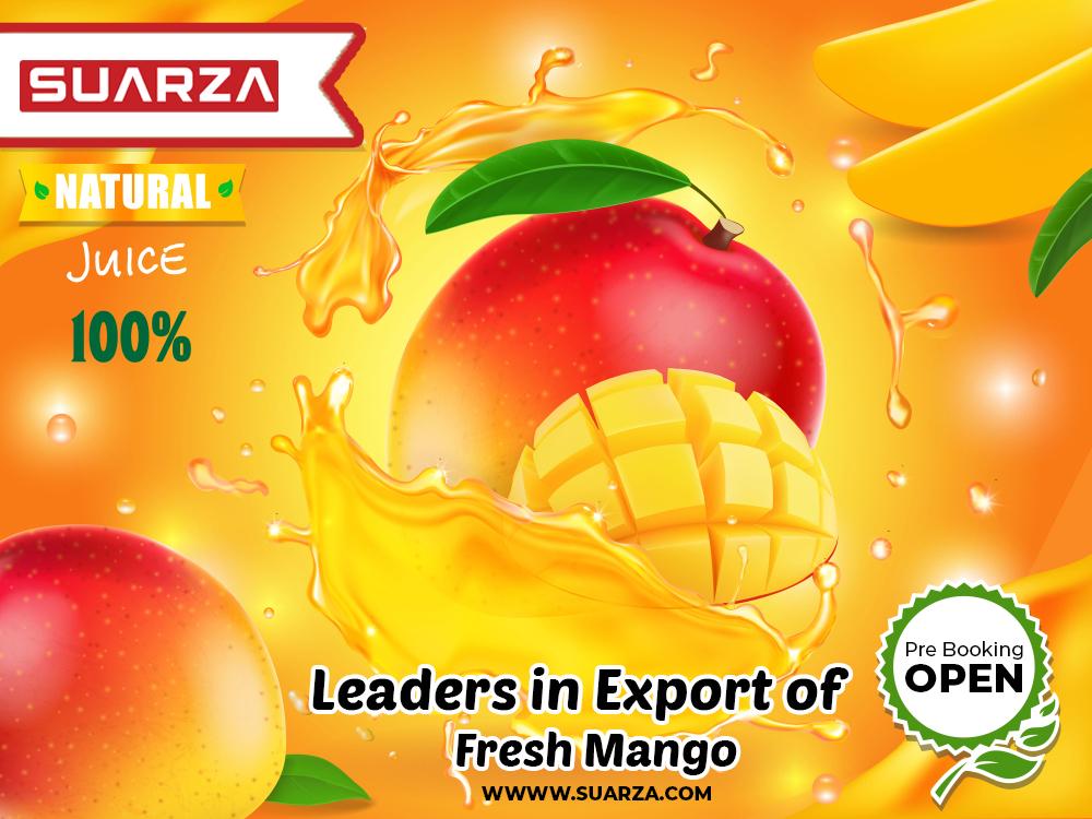 suarzagroup's tweet photo. Fresh & Juicy Mango from Pakistan
Pre-Booking Open
https://t.co/4pDjXKkul7
#mango #mangoexporter #mangoproducer #freshmango #freshmangofrompakistan #exporter #pakistan #fresh #dubai #saudiarabia #oman #kuwait #booking https://t.co/A0aLTi327B