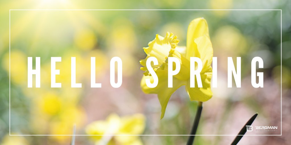 Bergman_LLC's tweet photo. Happy 1st day of Spring! 💐 https://t.co/axlrbRpho1