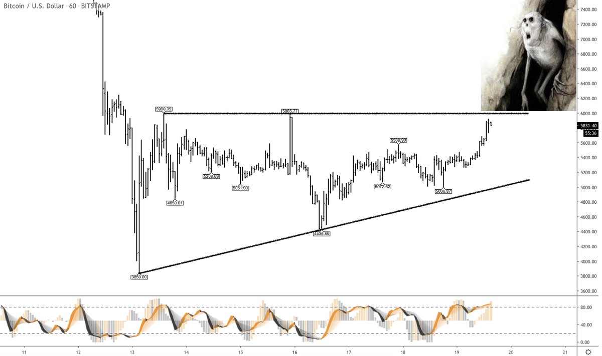 crypto_birb's tweet image. $btc bulls slowly waking up
