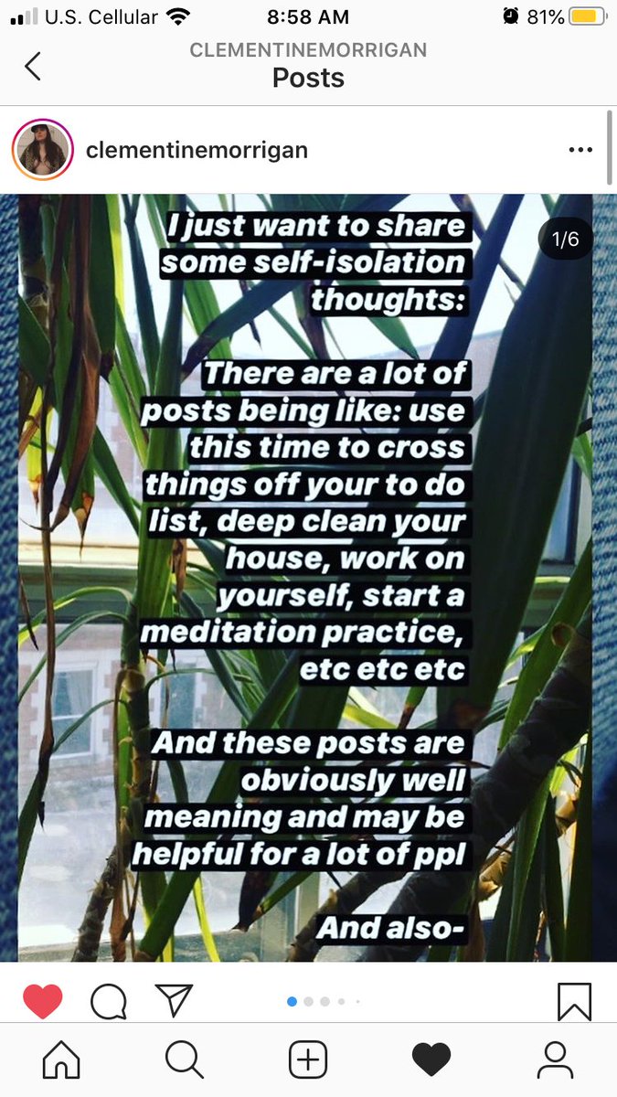 Clementinemorrigan Hashtag On Twitter