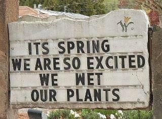 MichEllisPro's tweet photo. So you’re sayin’ we’ve got a chance! #firstdayofspring #ThursdayMotivation #CelebrateEveryDay https://t.co/qqIdLPDNvs