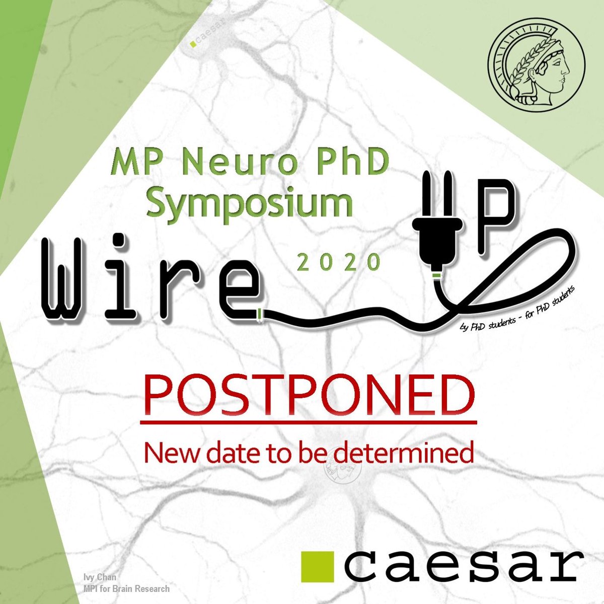 WireUp2020 tweet media