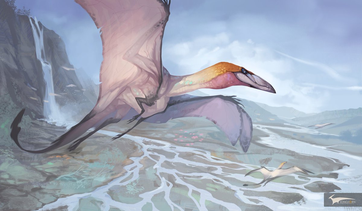 Shaledrake

More details below:
artstation.com/artwork/4bJyGl

#creature #conceptart