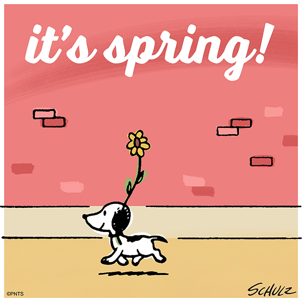 Peanuts First Day Of Spring