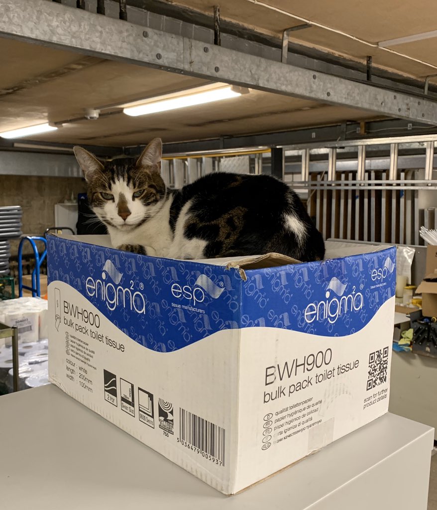 It’s very calm and peaceful today in <a href="/Nrw_Cathedral/">Norwich Cathedral</a> Rest assured my Clergy friends and Vergers are saying their prayers every day for the city and diocese just as they have done for the last 900+ years. Stay well x