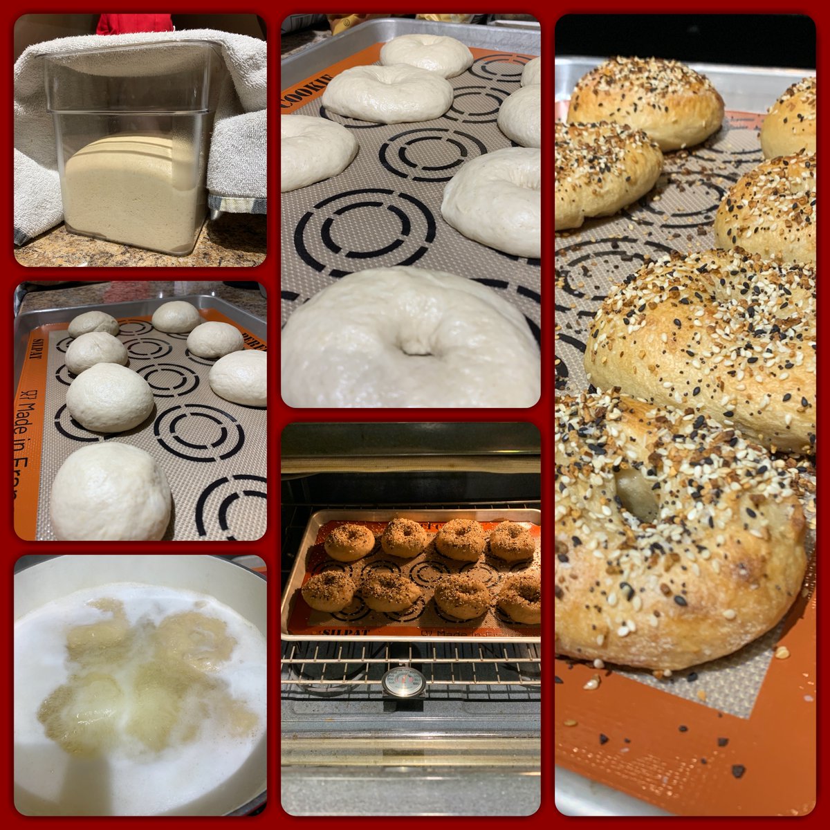 Home chemistry lab is up and running... getting great yields!!! 

#RealTimeChemistry #FoodChemistry #sourdough #bagels #homemade #homebaker #everythingbagel