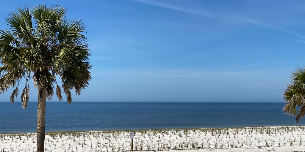 mexicobeachfla's tweet photo. Here's your postcard for those who aren't here. #mexicobeachfl https://t.co/pKwkAUhoOc