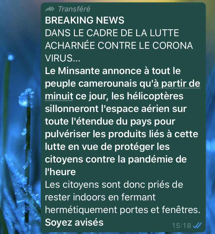 WassLabo's tweet photo. @AFP bonjour . Je reçois ce msg d’une amie vivant à Yaoundé ... êtes-vous un courant ? Est-ce légal ? Avez-vous plus  d’infos ? https://t.co/Us0Sxn5nRq
