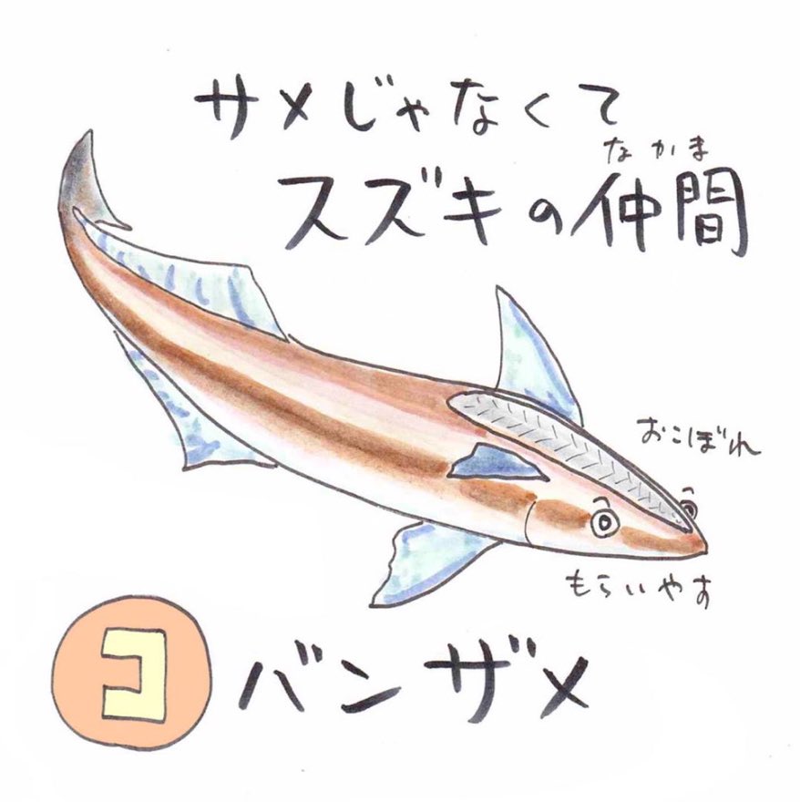 ETepZfZU8AAVSWs.jpg?format=jpg