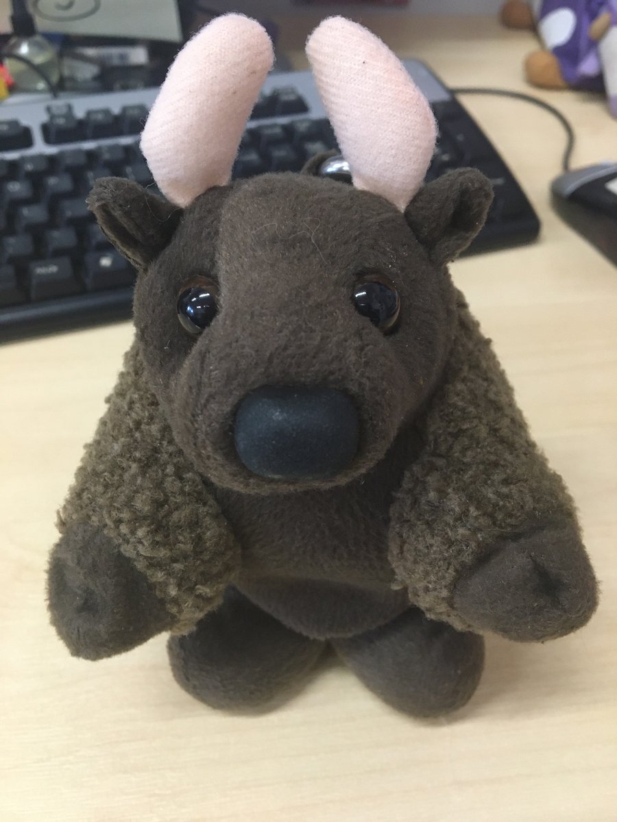 MrsJCotton's tweet photo. Buddy the Bison, our Politics Mascot, has been working hard supporting everyone today! #staysafe #bekind #dontpanic https://t.co/JNWEJOM5ZL