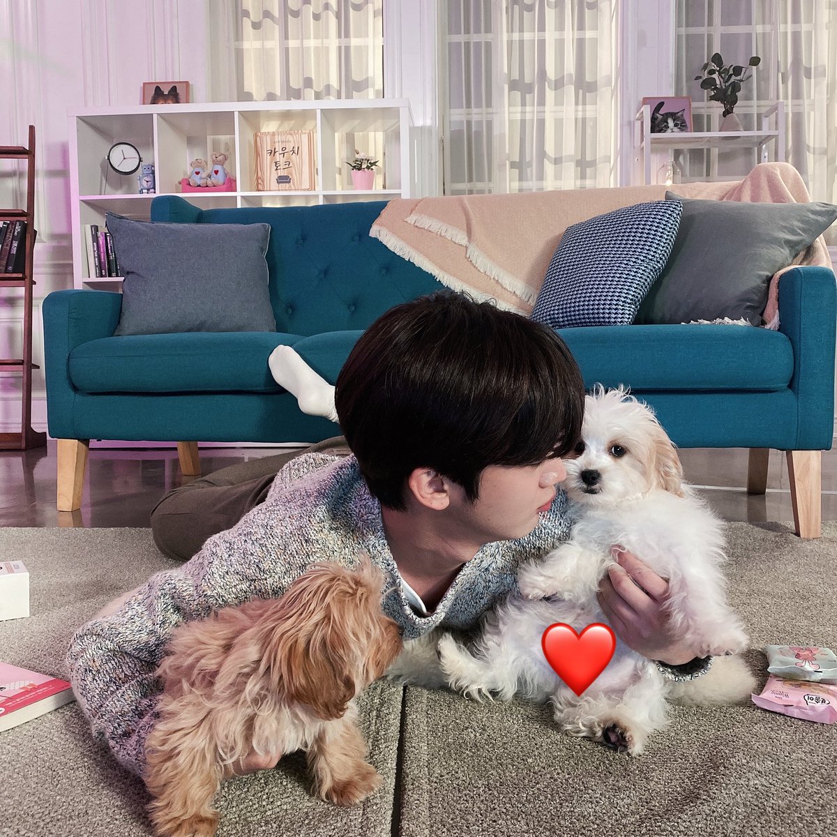 OUI_ent's tweet photo. 요한이랑🐶 카푸랑🐶 치노랑🐶 
너무 빠르게 지나간 한 시간이지만 힐링 넘치셨기를 바라며! 남은 금요일도 행복한 하루되세요❣️ 잘 자요🏠

#김요한 #KIMYOHAN #OUIentertainment https://t.co/F7NK9UMvRQ