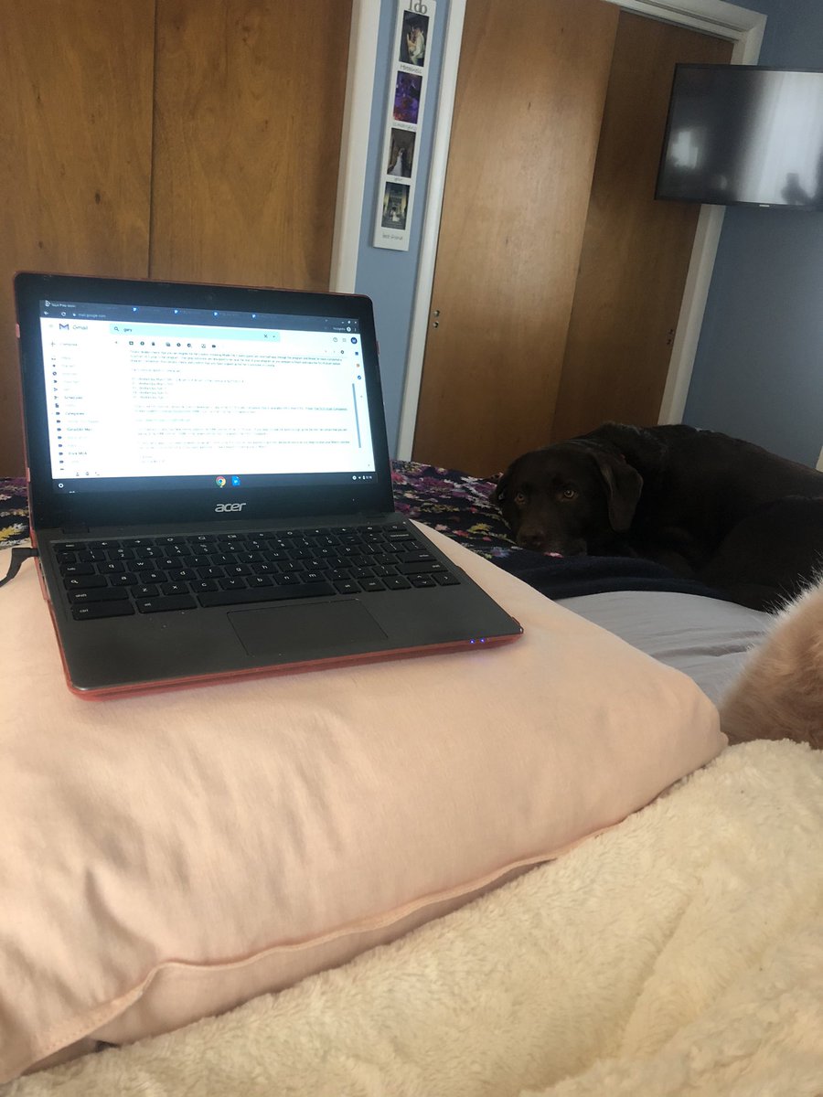 𝕄𝕣𝕤. 𝕄𝕚𝕔𝕙𝕖𝕝𝕖 𝕄𝕠𝕟𝕕𝕠𝕣𝕠 tweet media