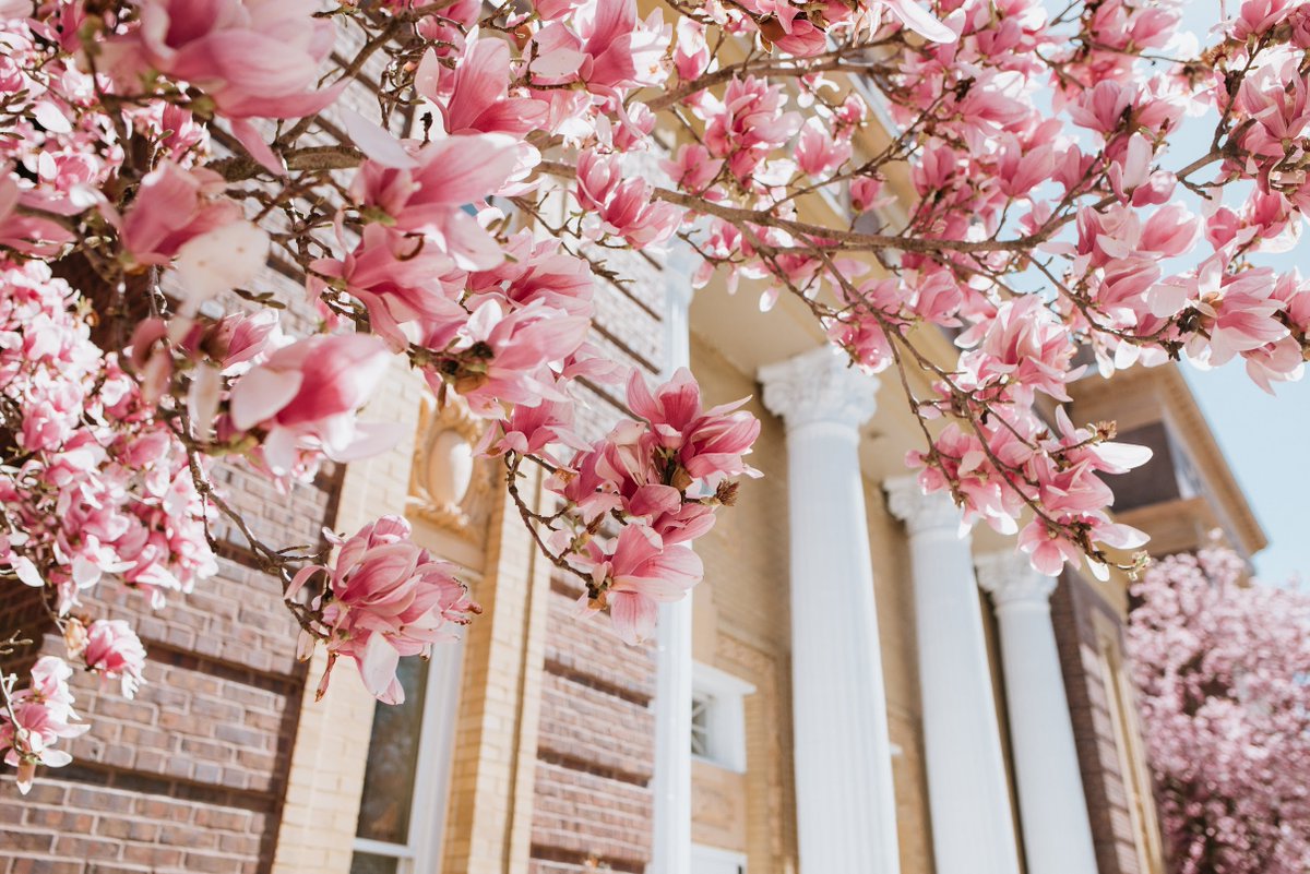 Now for some happy news. 

It's officially Spring!!!