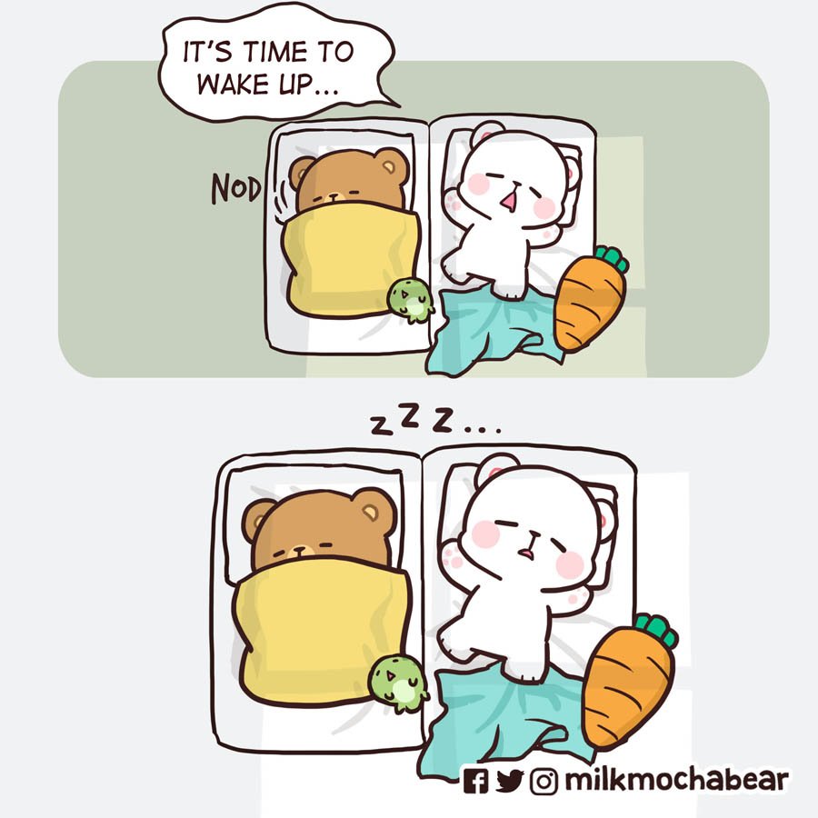 You first ?
---
Feel free to mention your sleepy pals ❤

#milkmochabear
#milkandmocha 