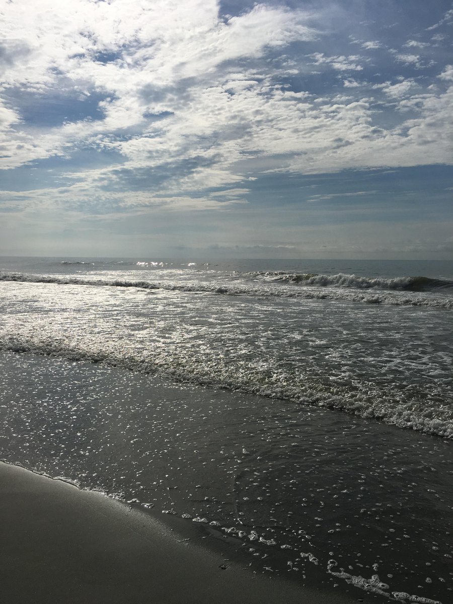 MarinaInn's tweet photo. 🎶 "It's a beautiful morning, think I'll go out side for a while" 🎶
#marinainnatgrandedunes #myrtlebeach #outdoors #springfever https://t.co/78OUyEoNDB