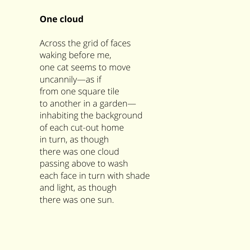 Poem for all the Zoom calls