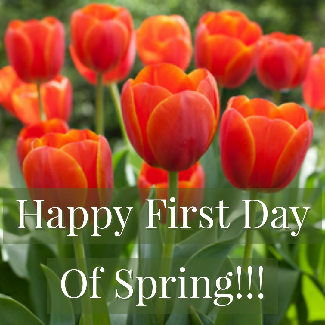 First Day Of Spring 2020 / Greet The New Season With Our Spring Quotes ...