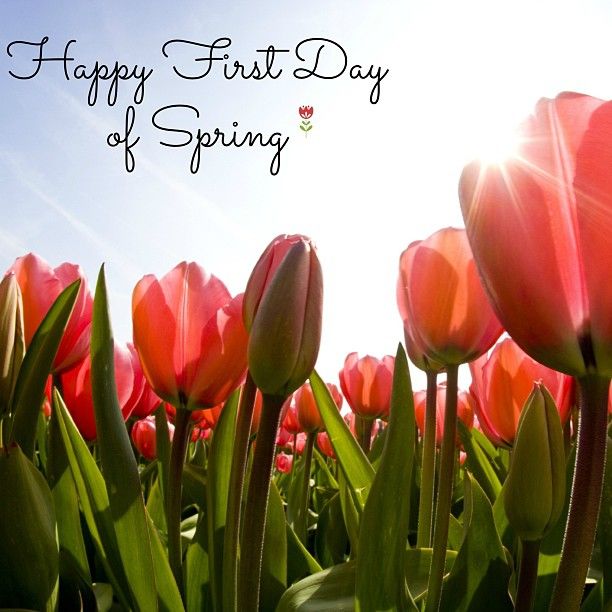 SmithMarkTeam's tweet photo. 💐Happy First Day of Spring! 💐Who's ready for this Spring Housing market? 🙋🏻♂️#TriadRealEstate #WeAreHome #AllenTateSummerfield #SmithMarketingTeam https://t.co/Sr8Xe8RkPD