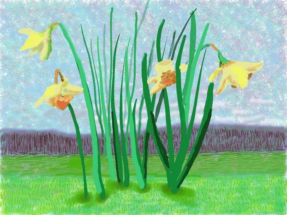 'Do remember they can’t cancel the spring'.

David Hockney's message of hope. 
#Artcanhelp #Quarantine