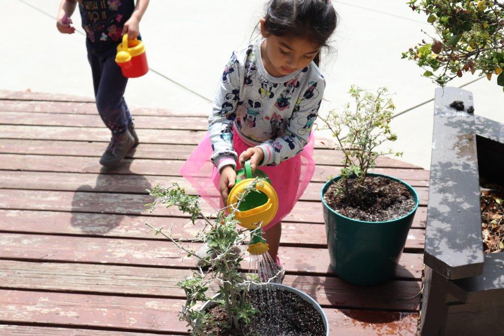 Happy First Day of Spring 2020! 🌻🌷🌱 We are starting Spring off with some much needed gardening activities! #gardening #earlyeducation #childdevelopment #fun #Spring2020