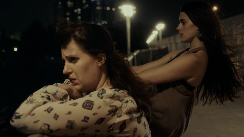 Barracuda, 2017, Amazon. You know I'll watch Allison Tolman in anything anyway but this is still fantastic, one of those thrillers where the suspense derives predominantly from the sense that something is just... off, in a way you can't put a name to.