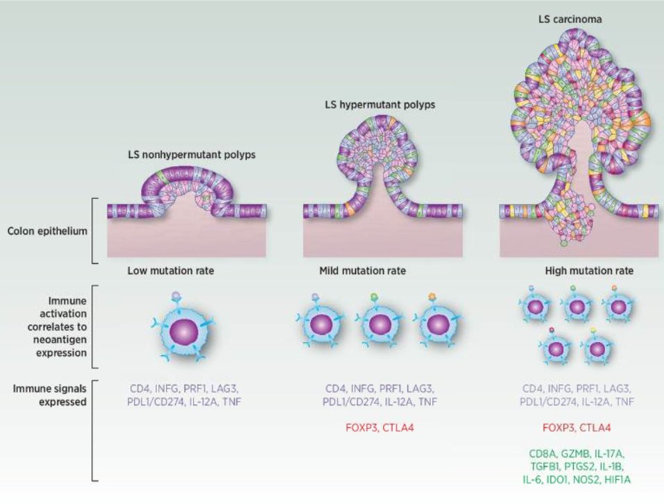How is the immune microenvironment involved in MMR-D CRC? This article by CGA members @DrJasonWillis <a href="/evilarsan/">Eduardo Vilar</a> and Laura Reyes-Uribe dives deep into understanding this pathway:

ncbi.nlm.nih.gov/pubmed/31383734