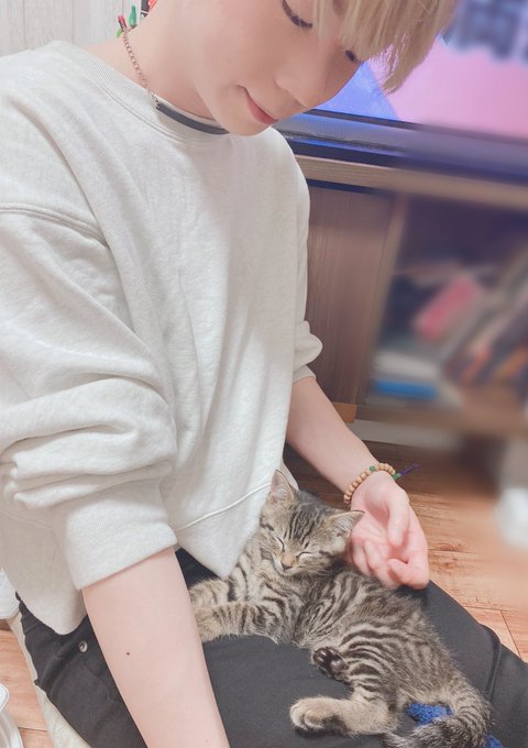 Popular Tweets Of 重松千晴 3 Whotwi Graphical Twitter Analysis