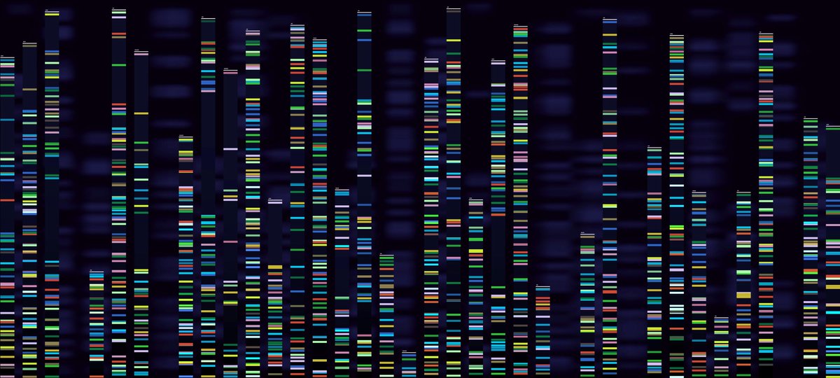 NASEM_Health's tweet photo. New! Consumer genomics has evolved considerably over the last decade. To learn more about the current landscape, read our proceedings: https://t.co/sWKxwUteQi https://t.co/KciLrU3jBn