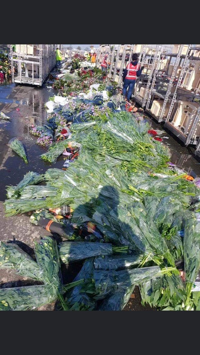 Het bloemen en plantenschap van #AH Naaldwijk.🤔 Dit moet toch vierkant vol staan zo midden in het Westland? Iedereen heeft op tv de beelden gezien. Schandalig dat Zaandam beslist dat dit geen prioriteit heeft. Nog even en dan kan dit schap voorgoed weggehaald worden 😠 #boos