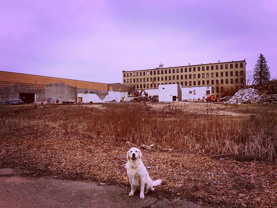 Here's your daily reminder to get outside and #Breathe! 🌤 💛