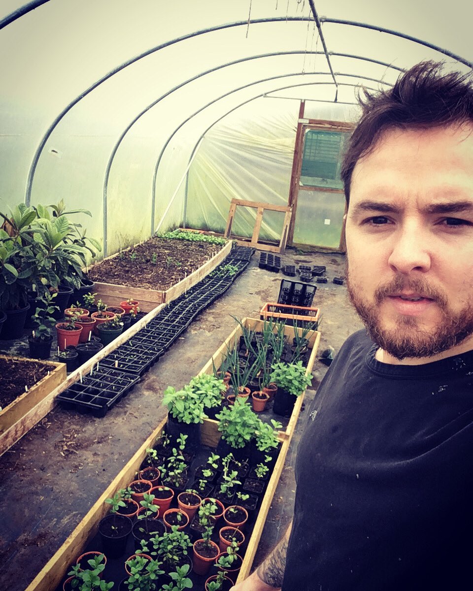 loldeantimberr tweet media