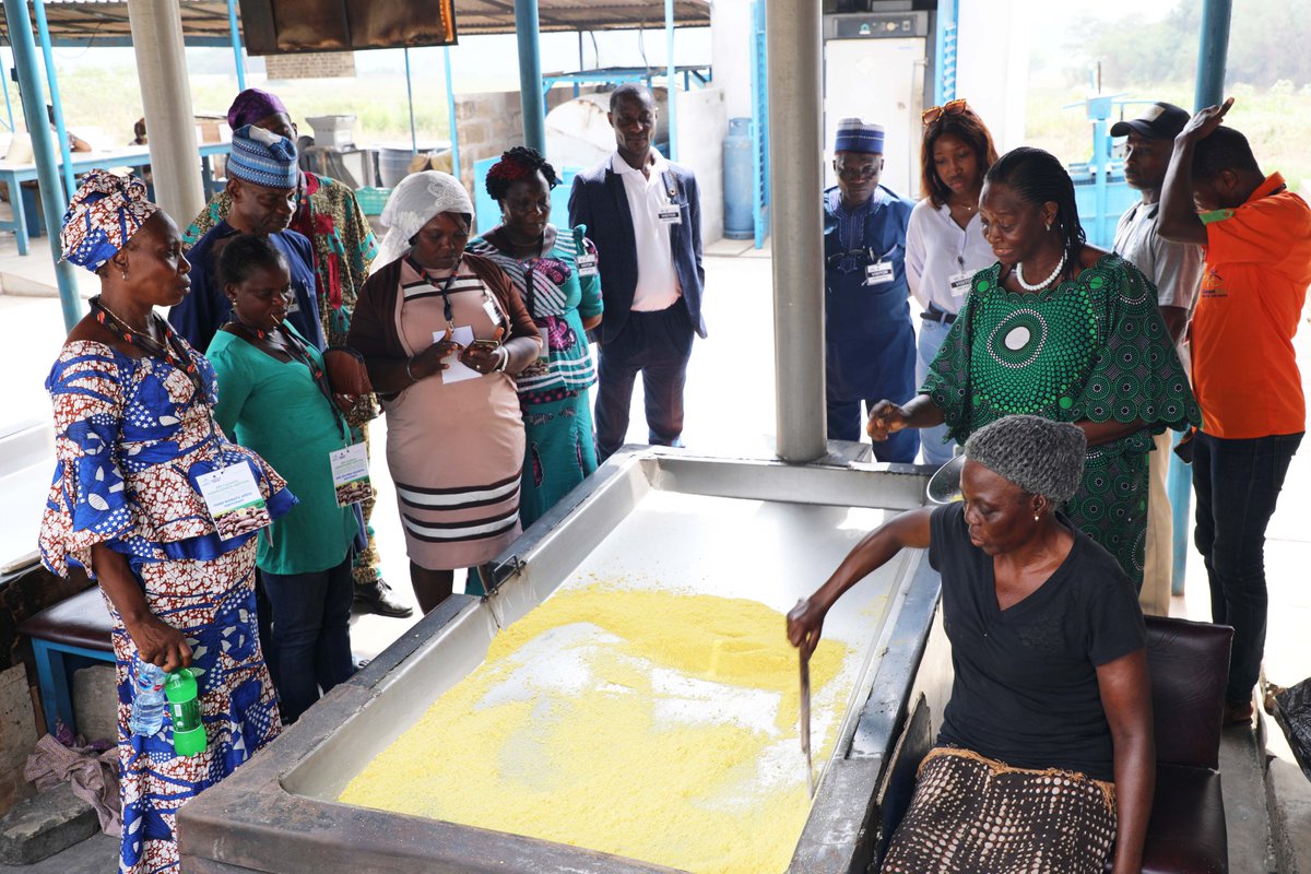 HarvestPlus_Ng's tweet photo. ...Activities during the meeting focused on helping participants identify areas of interest/investment in commercial seed production, weed control, gar &amp; fufu processing, and combobite processing. #harvestplus #biof https://t.co/CnKrdrX6R5