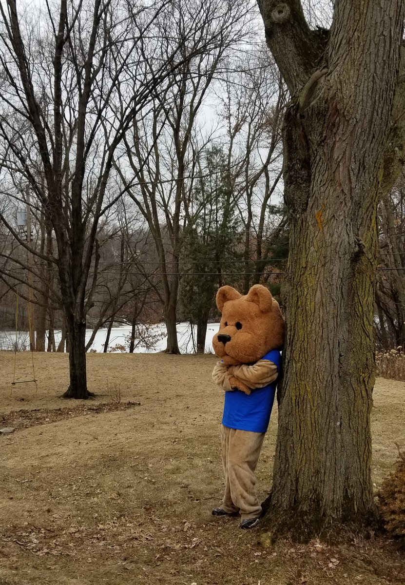 Cougie is a bit bummed that he won't be giving high-paws to his <a href="/CapitolHillSPPS/">CapitolHillSPPS</a> #CHCougars anytime soon. With that said, he still wants to help spread joy and be his same ole' goofy self. What sort of things should he do in ther next week?